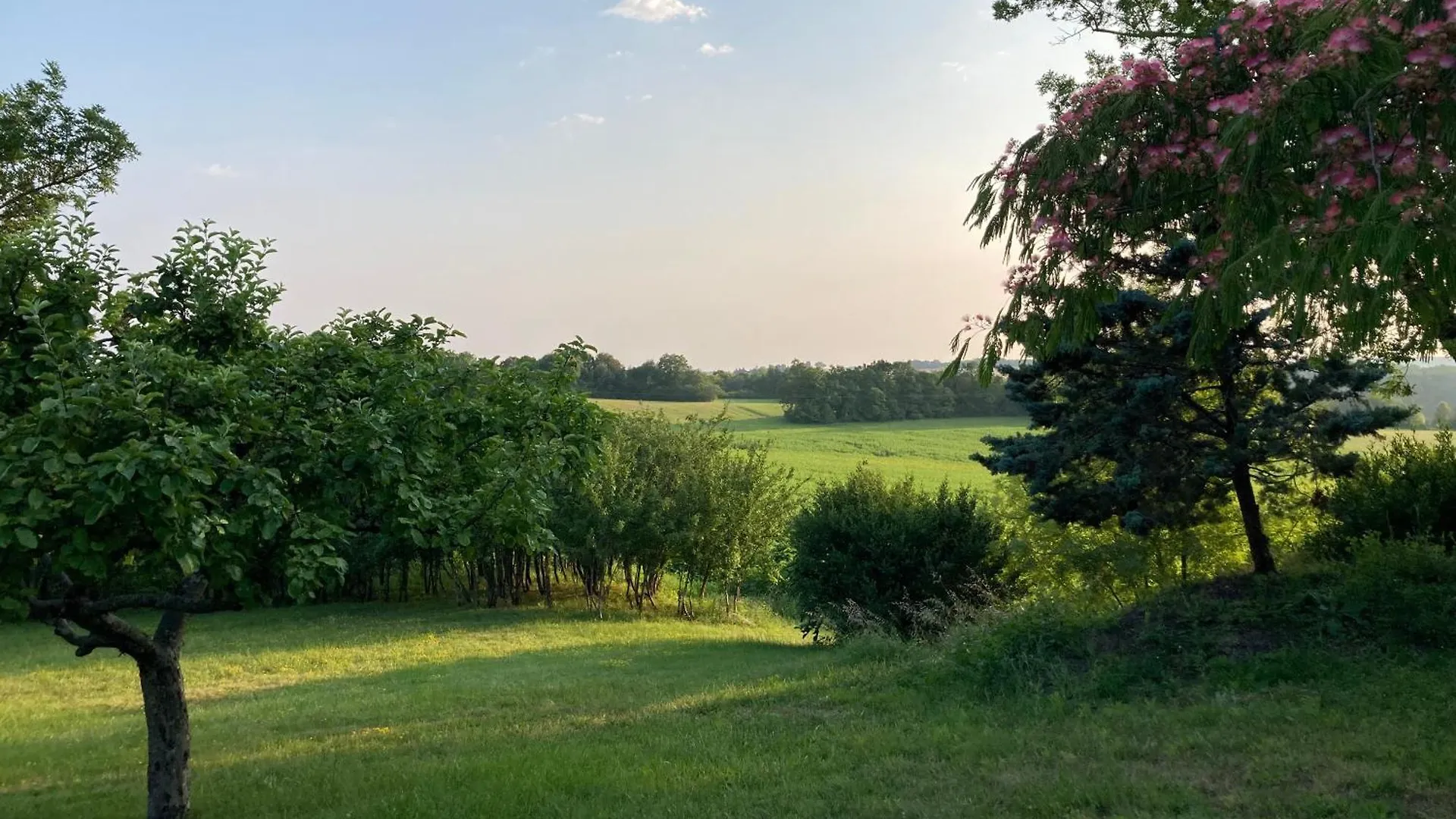 Gite De Charme Avec Grand Jardin & Piscine Touffailles